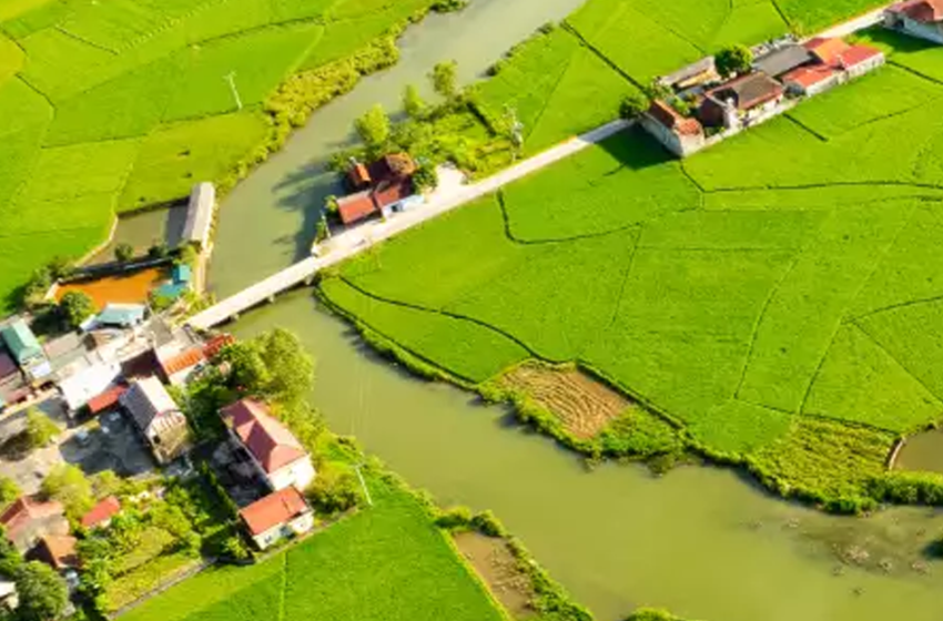  Strategie di mitigazione degli impatti ambientali e di adattamento ai cambiamenti climatici nel settore Forest Land and Agricolture (FLAG)