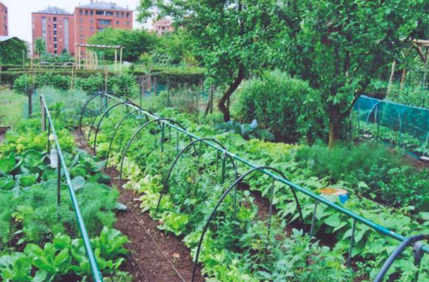  Contadini e cittadini – Dal Boscoincittà all’agricoltura periurbana