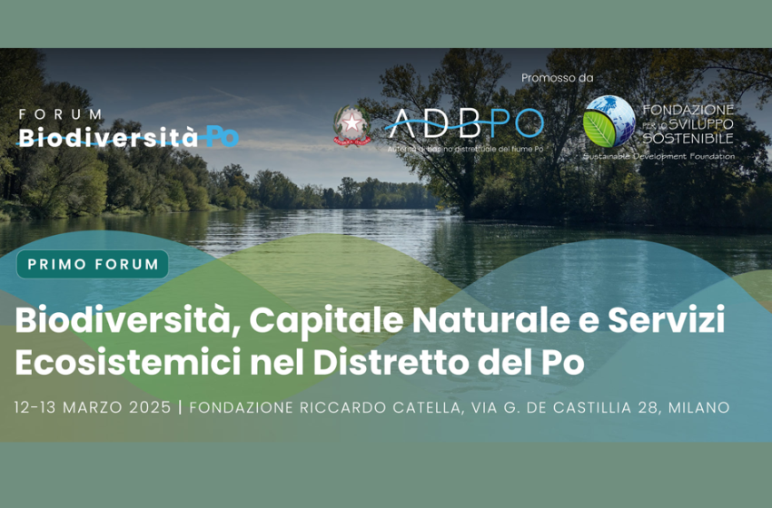  Biodiversità, Capitale Naturale e Servizi Ecosistemici nel distretto del Po